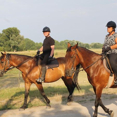 Ádám Tanya Fogadó Balazspuszta Bagian luar foto
