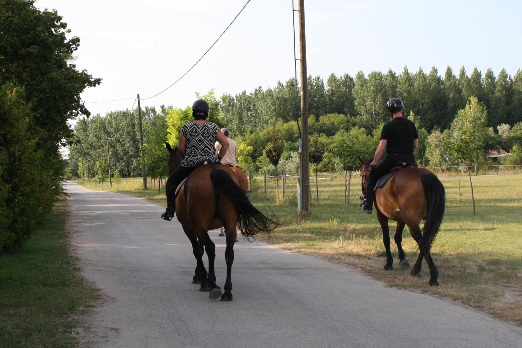 Ádám Tanya Fogadó Balazspuszta Bagian luar foto
